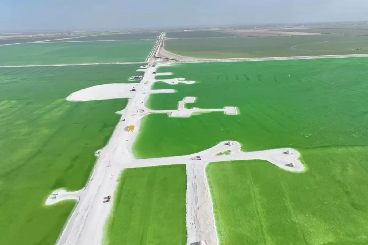 Tour Cam Túc - Thanh Hải - Đôn Hoàng - hồ muối Qarhan