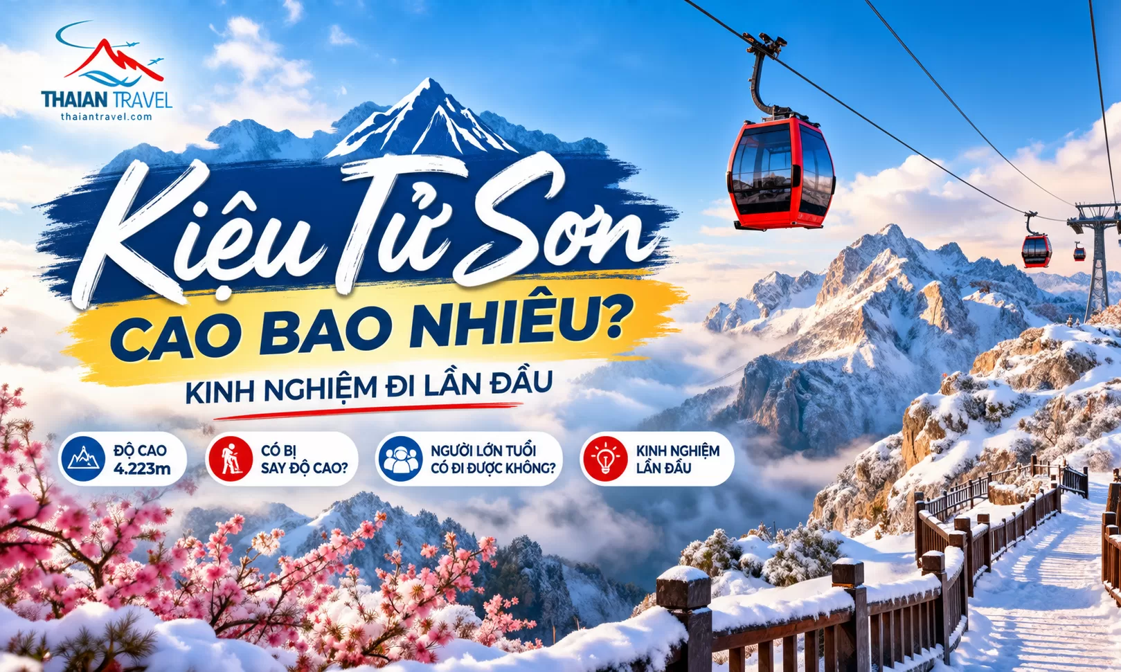 Kiệu Tử Sơn cao bao nhiêu