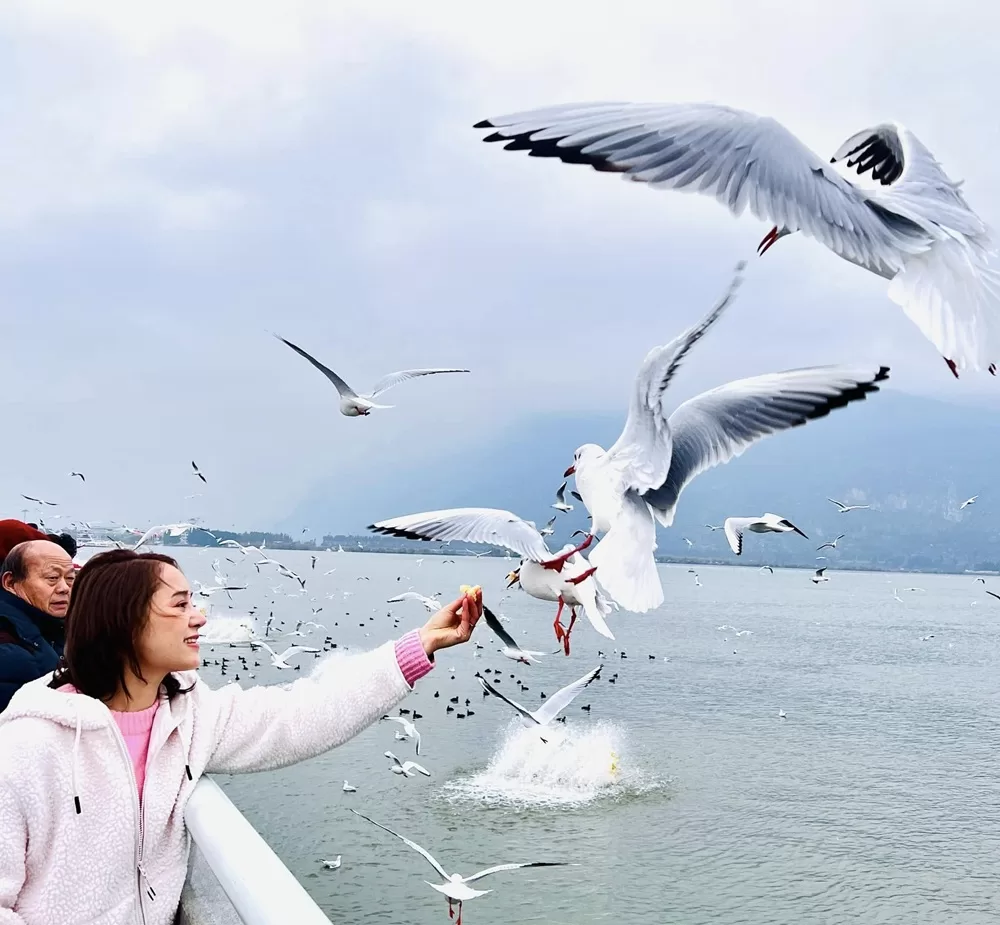 tour kiệu tử sơn no shop - Thái An Travel